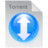 torrent file